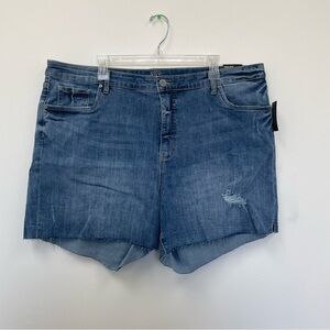 Kut from the Kloth High Waist Denim Shorts - Blue
